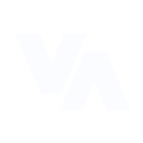 my va logo